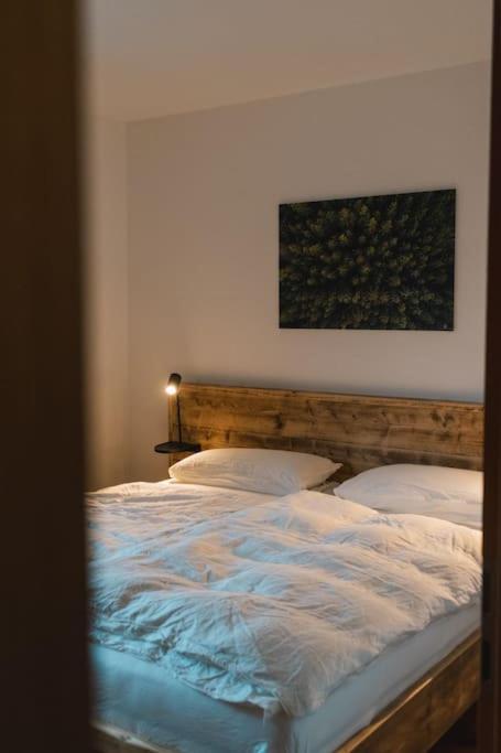 Feldberg Apartment - Direkt An Der Skipiste - Mit Sauna Екстериор снимка