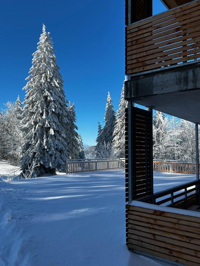 Feldberg Apartment - Direkt An Der Skipiste - Mit Sauna Екстериор снимка