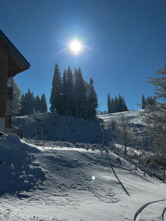 Feldberg Apartment - Direkt An Der Skipiste - Mit Sauna Екстериор снимка