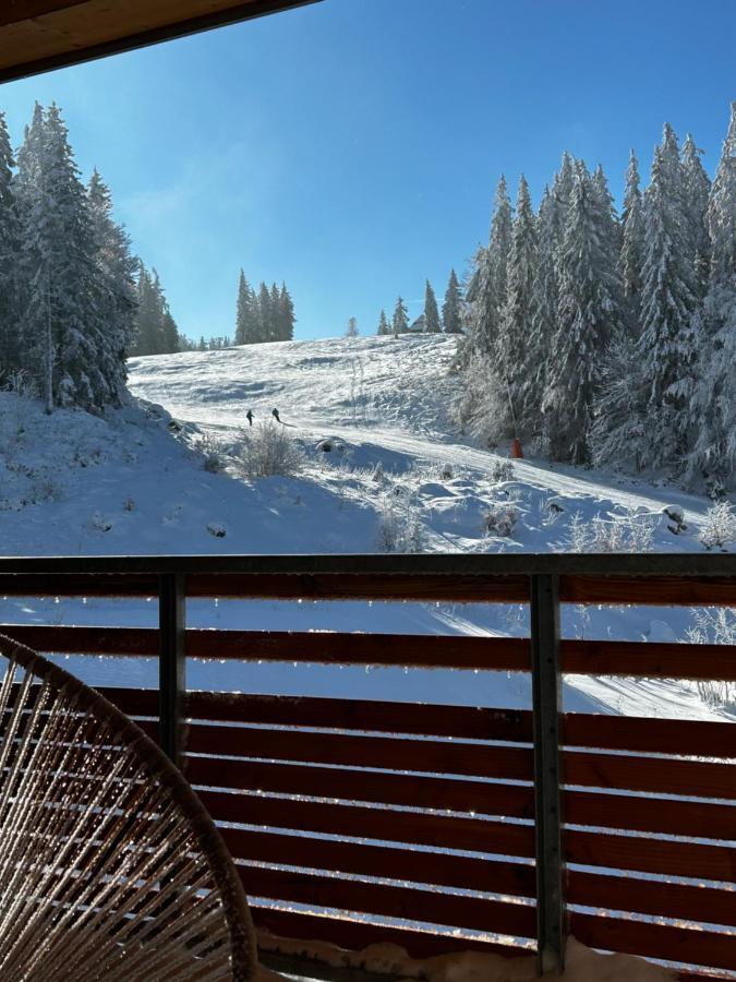 Feldberg Apartment - Direkt An Der Skipiste - Mit Sauna Екстериор снимка